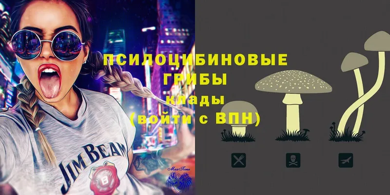 Псилоцибиновые грибы Cubensis  где продают   Узловая 